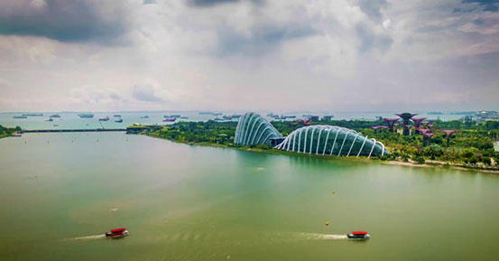 Logo Neom: il futuro di sharm el sheikh